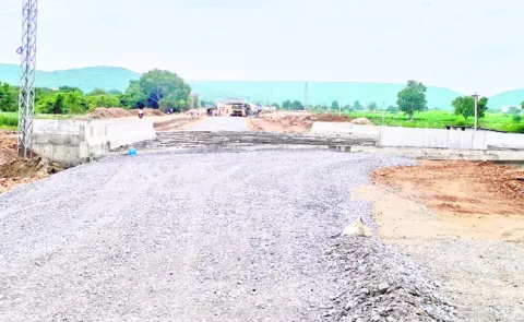 విస్త