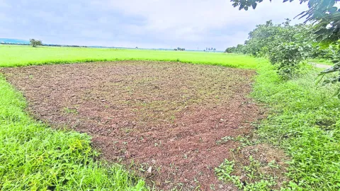 వేలం... కూటమి గాలం 