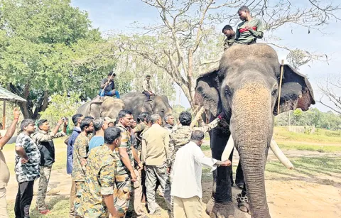 Kunki Elephant Project in Palamaneru Mandal