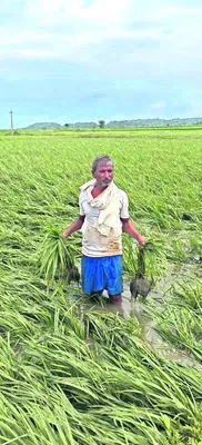 రూ.7 