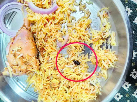 బిర్యానీలో బొద్దింక! 