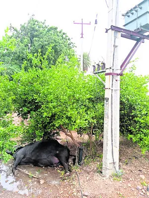 విద్య