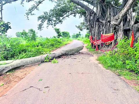 రాష్ట