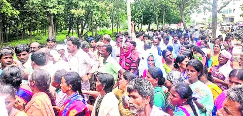 పొద్ద