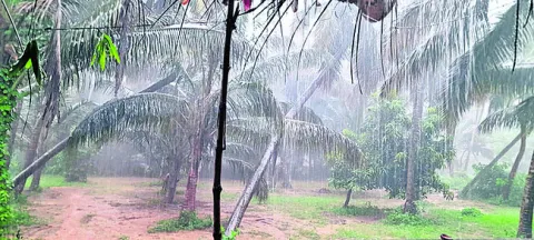 నేడు 
