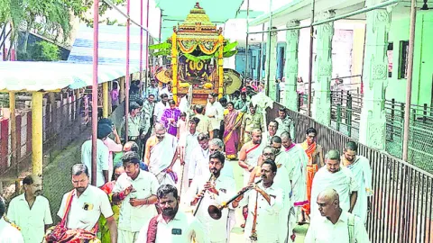 టేకు 