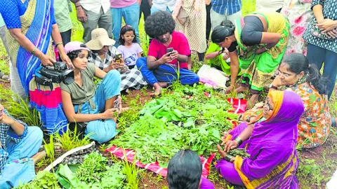 కలుపు మొక్కలు కాదు.. పోషకాలు
