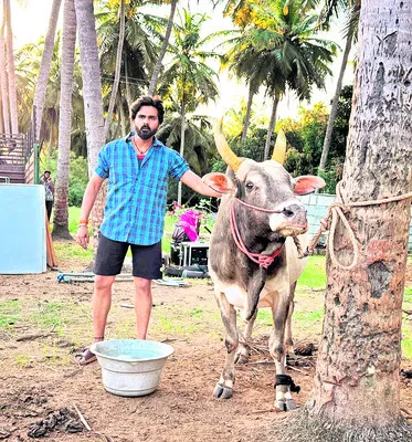 గాయాలైనా షూటింగ్‌ పూర్తి చేశారు..! 