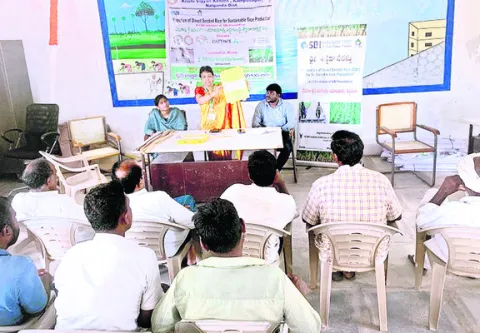మెట్ట వరి సాగుతో బహుళ ప్రయోజనాలు