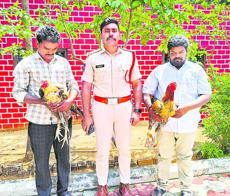 కోడి పందేల స్థావరంపై దాడి 