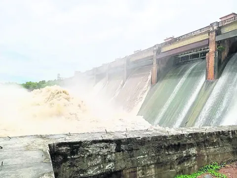 ముదిర