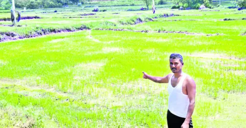 వంతుల వారీగా క్యూలైన్లో పడిగాపులు కాస్తున్నా.. 
