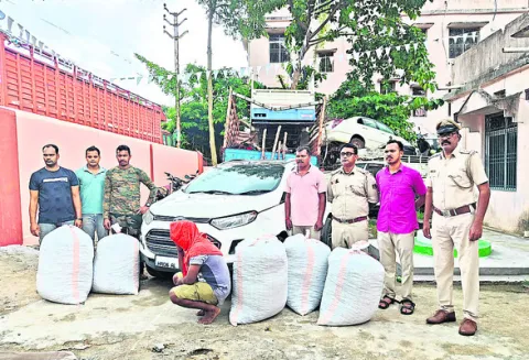500 కిలోల గంజాయి స్వాధీనం 