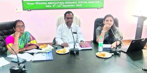 మొబైల్‌ విప్లవంతో సాగు సమాచారం 