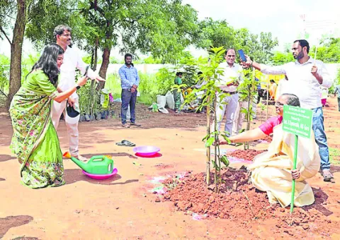 వనం..