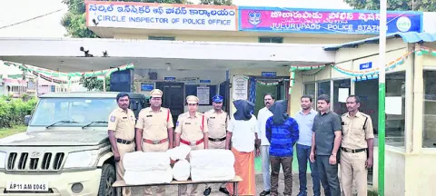 భారీగా గంజాయి పట్టివేత 