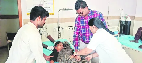 ఇన్‌చార్జి ప్రభుత్వ ప్లీడర్‌గా శివరామకృష్ణ 
