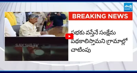 Chandrababu Super Six Success Meet In Anantapur 1