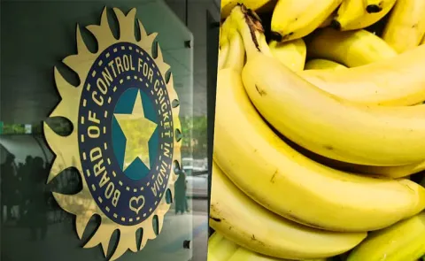 BCCI gets notice for spending Rs 35 lakhs on bananas