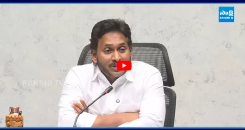 YS Jagan Key Comments On AP Economy 5
