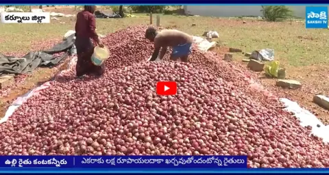 Onion Farmers Impatience On CM Chandrababu 2