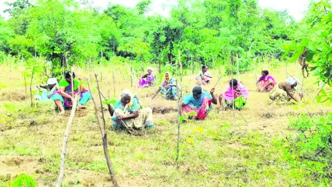 నాలుగు నెలలుగా వేతనాల్లేవ్‌..