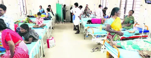 పేరుక