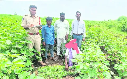 గంజాయి సాగు చేస్తున్న ఇద్దరిపై కేసు