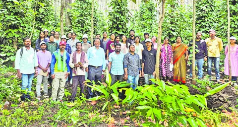 అరకు కాఫీ తోటల పరిశీలన 