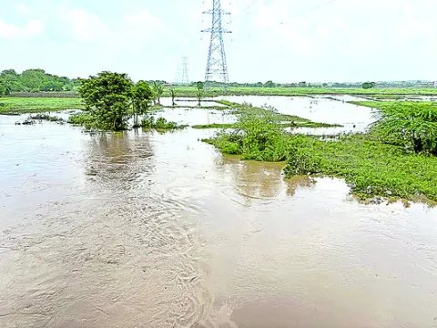 ఓ వైప
