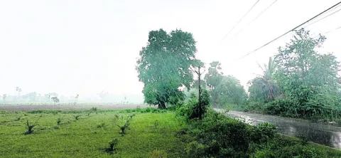 మన్యంలో ప్రకృతి సేద్యం
