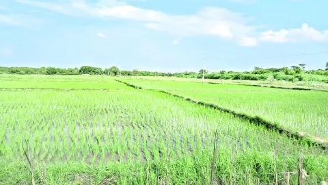 నాడు 