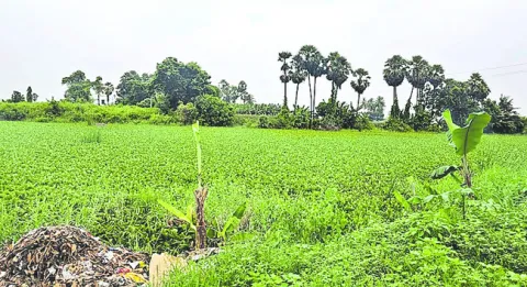 ఏమైంద
