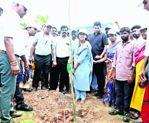 చిట్టడవులను తలపించాలి