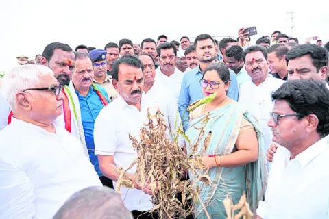 అండగా ఉంటాం
