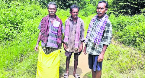 ఒక రై