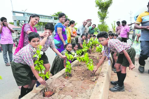మొక్కలతో పర్యావరణ పరిరక్షణ