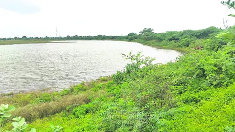ప్రాజ