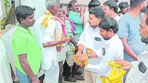 యూరియా సరఫరాలో విఫలం