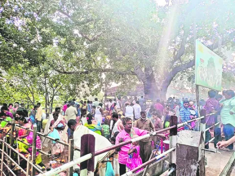 అశ్వత