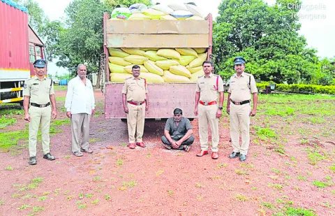 311 క్వింటాళ్ల రేషన్‌ బియ్యం పట్టివేత 