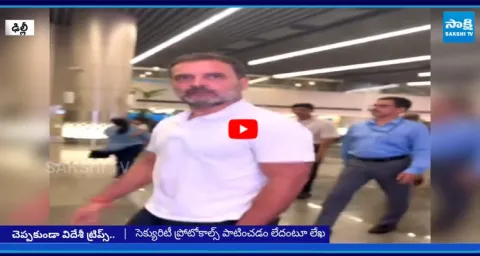 Rahul Gandhi Allegedly Violated Security Protocols During Multiple Foreign Visits Says CRPF 1