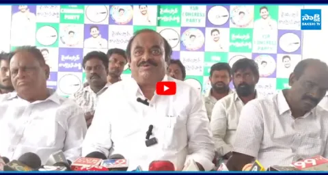 YSRCP Dulam Nageswara Rao Fires on TDP 2
