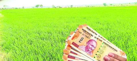 Crop investment finance