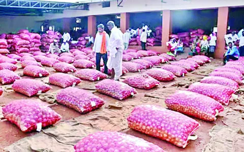ఉల్లి