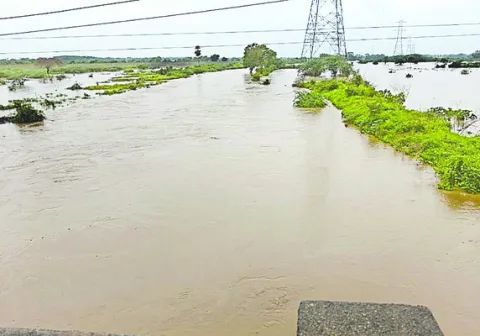 వర్షాలు కురిసి.. జలాలు పెరిగి