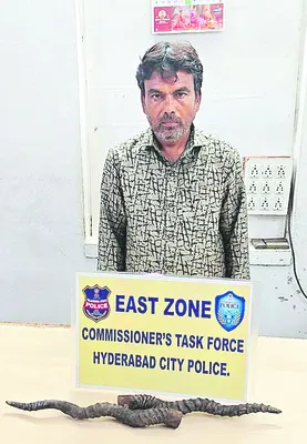 జింక కొమ్ముల విక్రయానికి యత్నం 