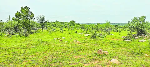 చర్యలుంటాయా..?