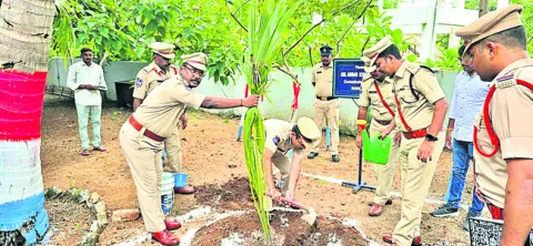 అటవీ 