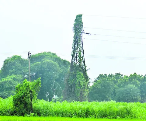 Kanula village of Sultanabad mandal..